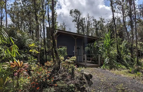 Fern Forest Cabin | Off-Grid Rainforest Retreatnn