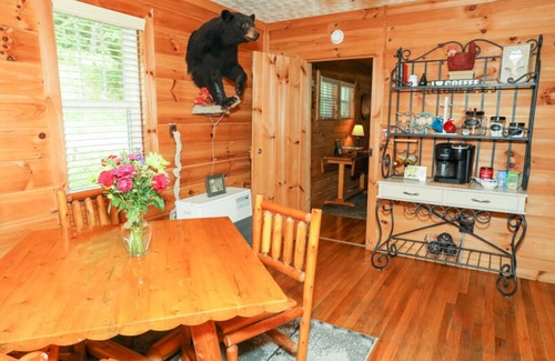 Willis Cabin | Off the Beaten Path - just like the name implies, by Buffalo Mountain Getaway
