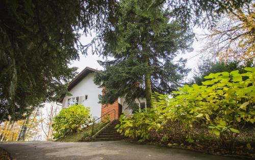 Varazdinske Toplice House | Old Chestnut Vacation Home