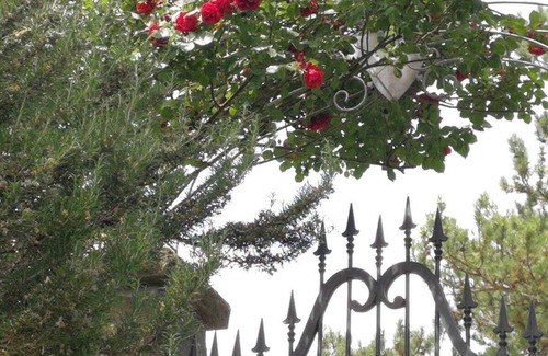 Castelluccio Apartment | Old mountain house newly renovated.