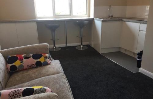 Seaton Apartment | Old Picture House
