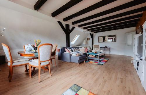 Lerbach Apartment | Olifant in Osterode