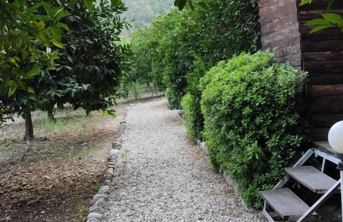 Olympos Hotel | Olimpos Ada Bungalov