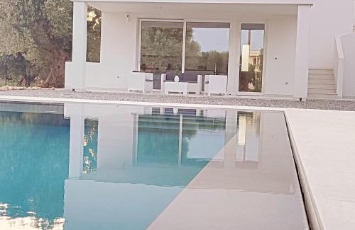 Pozzo Faceto Villa | Olive trees house