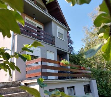 Banostor Apartment | OLOR Apartman 2 - Banoštor