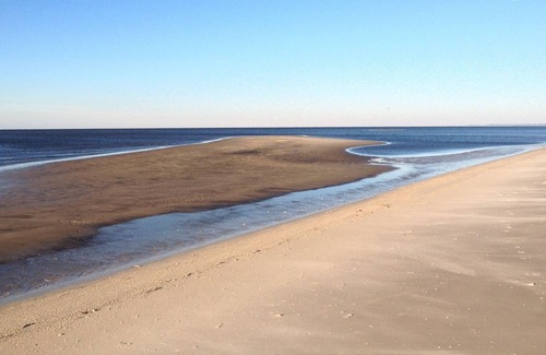 Alligator Point House | **ON THE GULF** Watch DOLPHINS PLAY!**Perfect GULF FRONT Family Retreat
