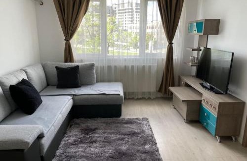 Iasi Apartment | ON THE RIVERSIDE a mixing selection