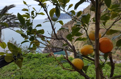 Corniglia Apartment | On the Way to the Marina Apartment with great Sea View