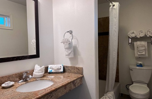 Downtown Monterey Cabin | One Bedroom Suite With Kitchen and Living Room at Ocean-Side Property!