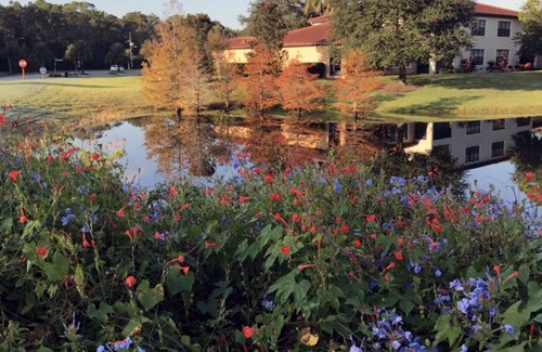 Orange Lake Condo | Orange Lake Resort -Two-Bedroom villa! Close to Disney! Book Now!