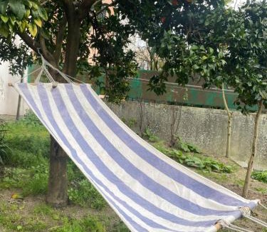Sao Goncalo Apartment | Orange tree apartment