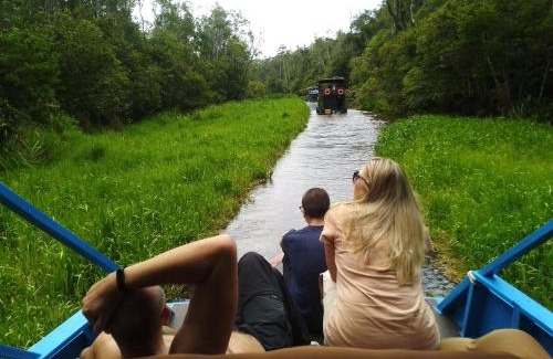 Kumai Boat Rental | orangutan trip tanjung puting