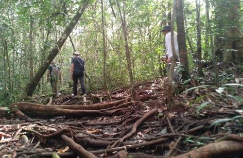 Kumai Boat Rental | orangutan trip tanjung puting