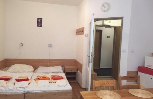 Mala Moravka House | Orbit Karlov pod Pradědem