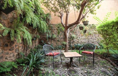 Acapantzingo Hotel | Orchidelirium Casa Hotel & Salud Estética