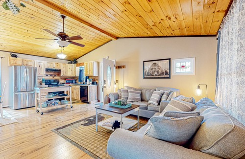 Ellijay Cabin | Outdoor retreat near the river with a firepit & grill - pool, game room, and gym