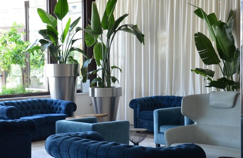 Viserbella Hotel | Oxygen Lifestyle Hotel