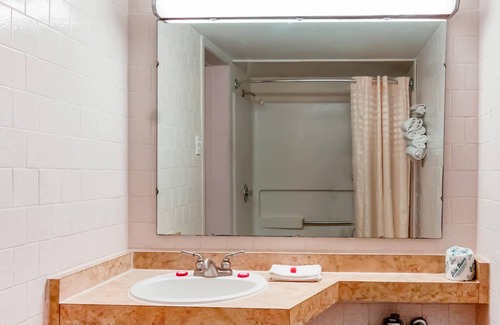 Alice Hotel | OYO Hotel Alice TX Hwy 281 West