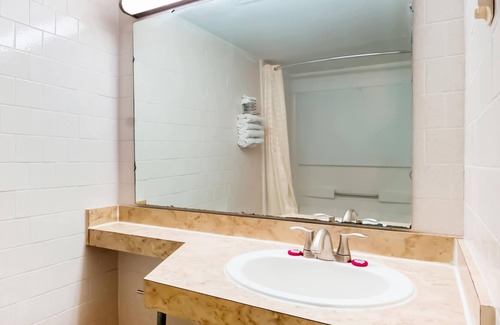 Alice Hotel | OYO Hotel Alice TX Hwy 281 West