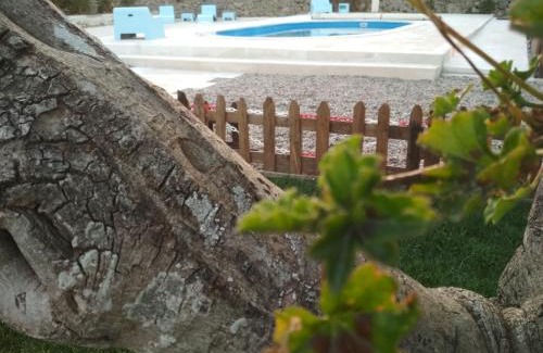 Alcanede House | Pátio do Judeu