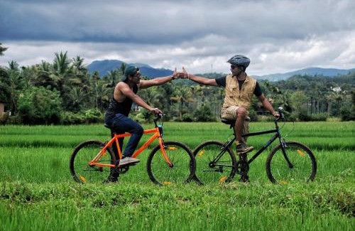 Mananthavady Bed & Breakfast | Paddyfield Inn
