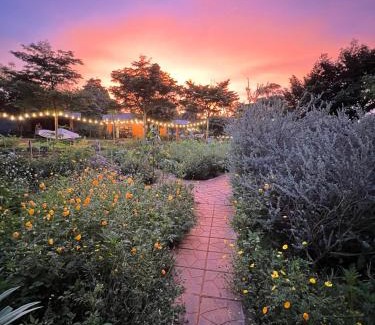 Pleiku House | Paksong Farmstay Gia Lai - Venuestay