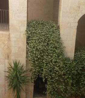 Rutigliano House | Palazzo Moccia