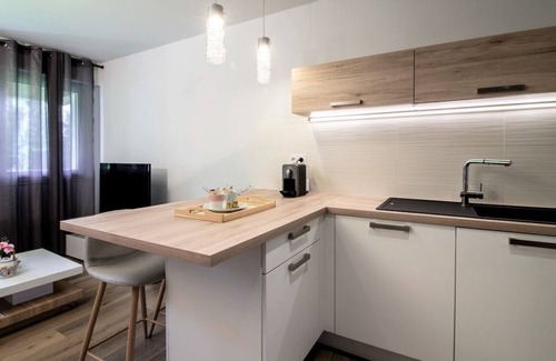 Annecy-le-Vieux Apartment | Palm Beach romantique jacuzzi