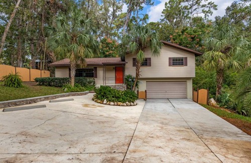 Gainesville House | Palm Tree Paradise minutes from UF