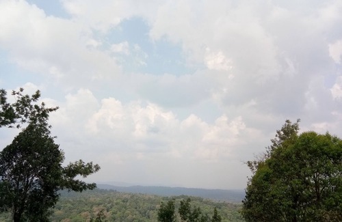 Gonikoppal Resort | Palm Valley Resort, a calm place for tourists
