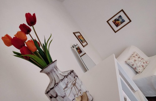 Benevento Apartment | Panoramic and bright apartment in the center, nice and independent