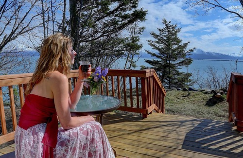 Homer Ski Chalet | Panoramic views, private sauna & deck with gas firepit, close to the city center