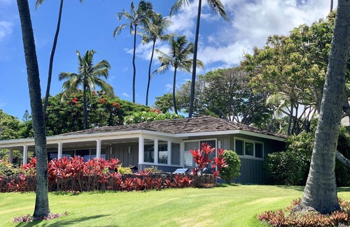 Napili House | Paradise at Alaeloa - Swim with the Turtles!