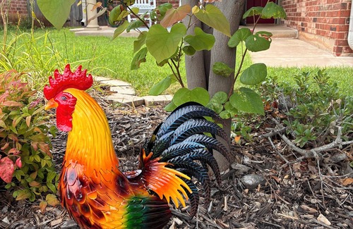Oklahoma City House | Paradise on the Prairie: - Conveniently Located and Perfect for Your Stay