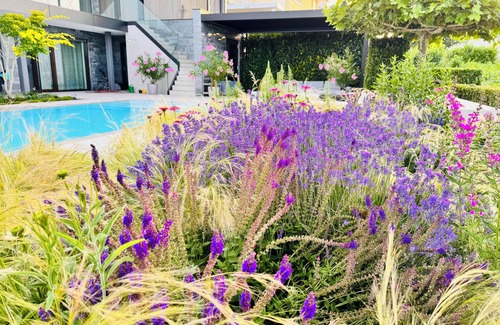 Bodman-Ludwigshafen Apartment | Paradisio Poolsuite Sundeck in Bodman on Lake Constance