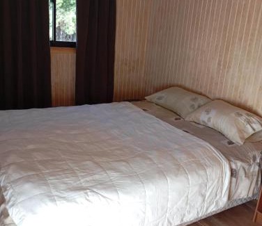 Curacautin House | Parcela “El Nogal”