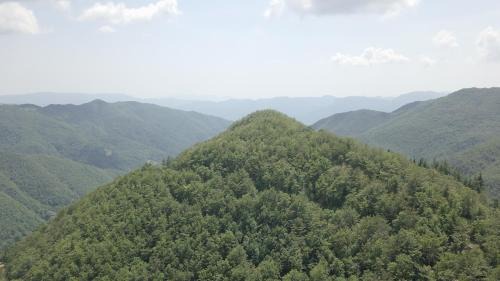 Barga House | Parco Colle Fobia