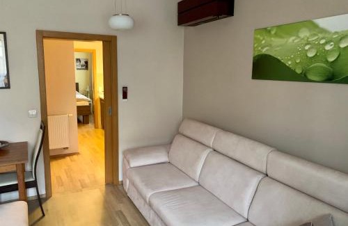 Nove Mesto nad Vahom House | Park - apartmány na prenájom
