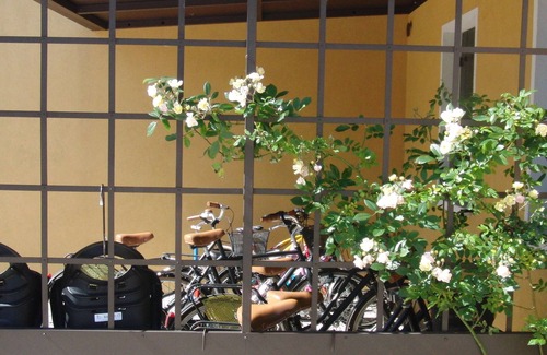 Oriago House | "Particulars of Brenta" - Chiara accommodation - Comfortable house with garden in Venice