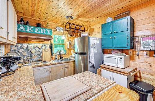 Roaring Gap Cabin | Patio & Fire Pit: Charming Cabin in Roaring Gap!