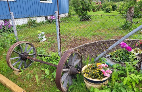 Bodo House | Paul's House - 3,5 km fra Saltstraumen, Midt i Nordlyset og Midnattsola