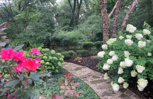 Maryville House | Peaceful 4/2 Hydrangea Hideaway