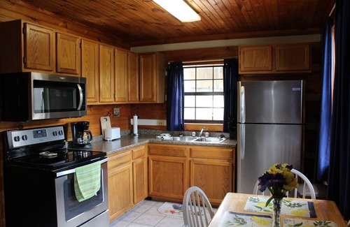 Townsend Cabin | Peaceful, extremely clean Treehouse cottage 10 min. from National Park entrance
