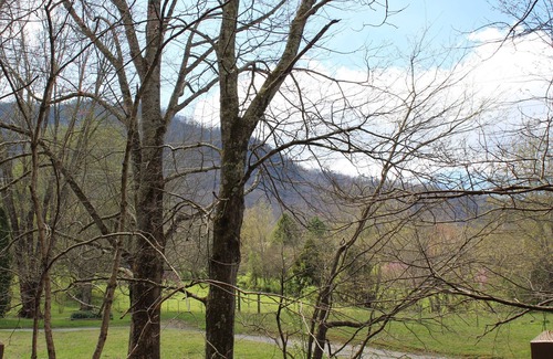 Townsend Cabin | Peaceful, extremely clean Treehouse cottage 10 min. from National Park entrance