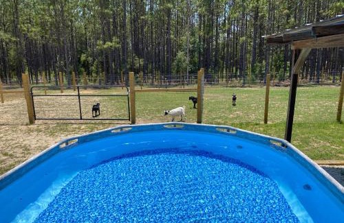 Floral City House | Peaceful Plantation