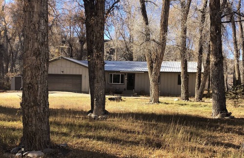 Gunnison House | Peaceful wooded retreat on 1.4 acres! River Access, Fire Pit, Dog Friendly!