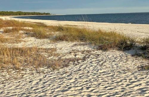 Carrabelle Cottage | Pearl of Carrabelle Dog friendly, close to restaurants, shops and beach.