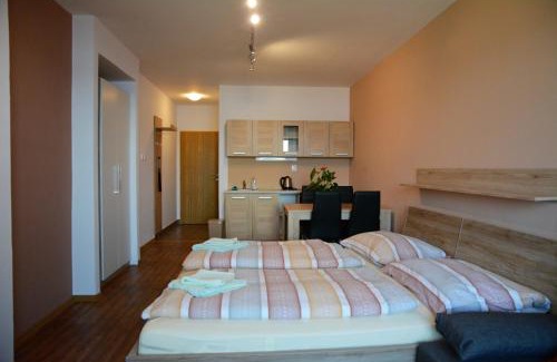 Dolni Vltavice House | Pension Calla