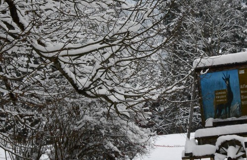 Aflenz Kurort House | Pension Gierlinger - Aflenz Kurort