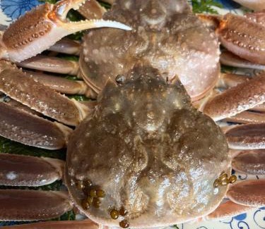 Toyooka House | Pension Kurumi no Ki